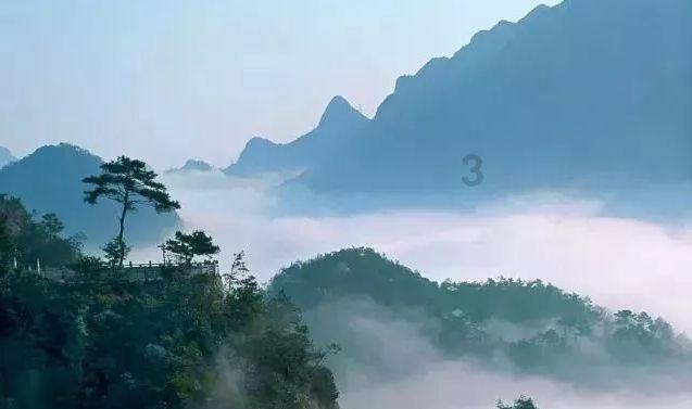 专属知识星球平台-秋季炖鸡汤放什么食材,解锁你的学习之门